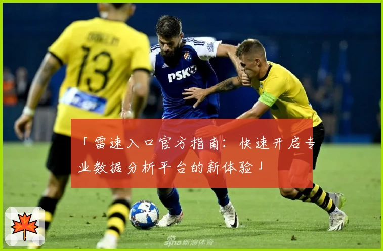 「雷速入口官方指南：快速开启专业数据分析平台的新体验」
