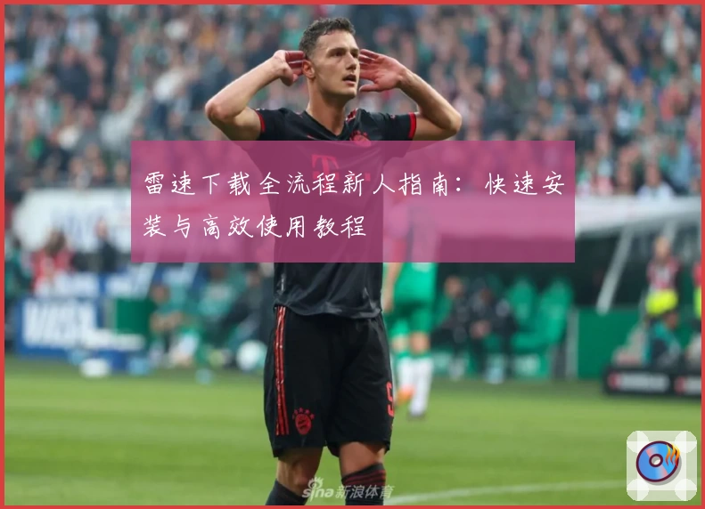 雷速下载全流程新人指南：快速安装与高效使用教程