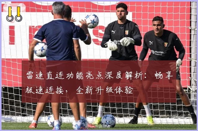 雷速直连功能亮点深度解析：畅享极速连接，全新升级体验